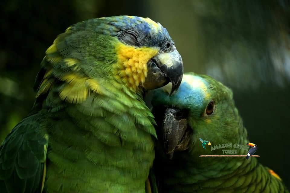 Macuxi Package – 2 Days and 1 Night