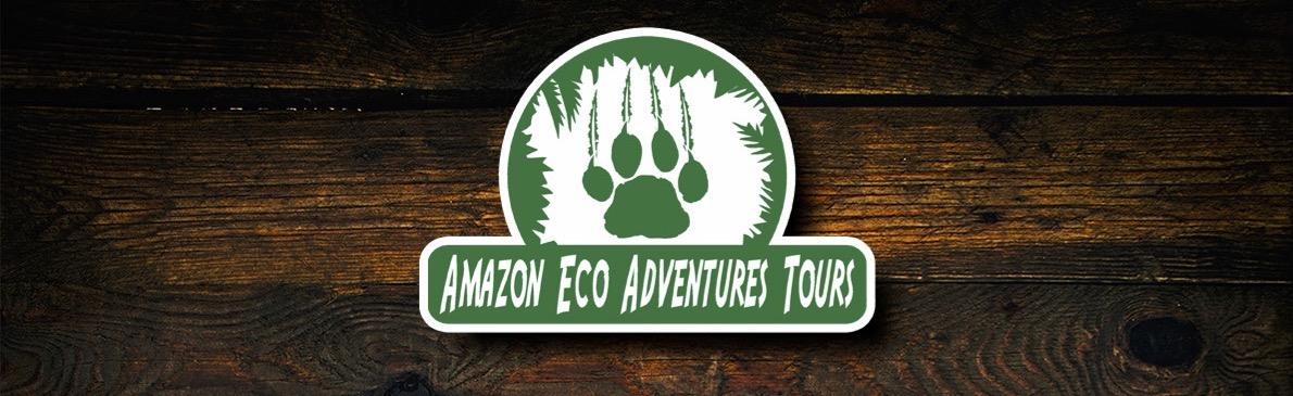 Passeio de um dia por Amazon Eco Adventures